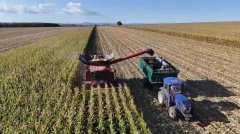 新华视点丨东北粮仓守护中国饭碗